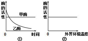 得寸直尺贪不厌指啥生肖，构建解答解释落实_fx91.43.38