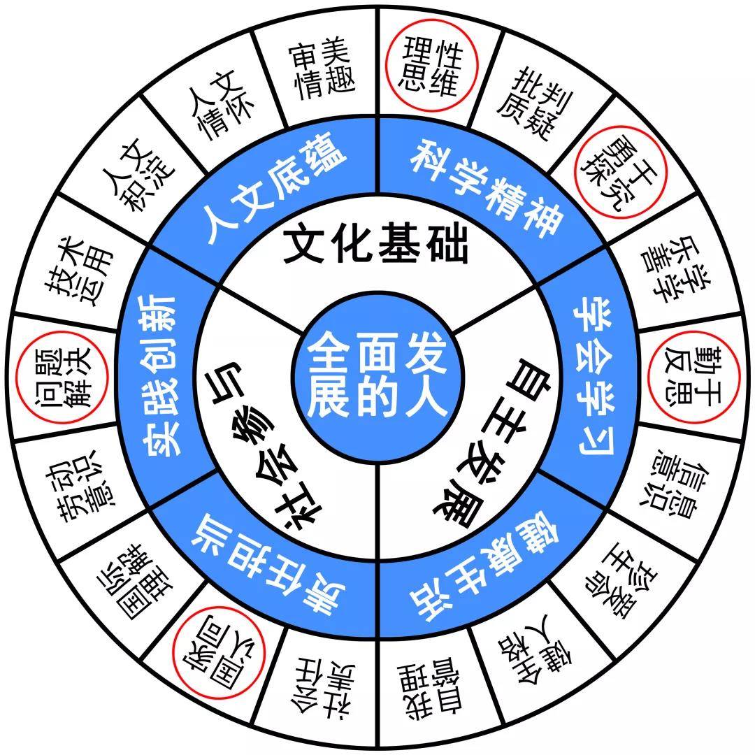 四伴七来一定赢。打一生肖动物，构建解答解释落实_k587.26.39